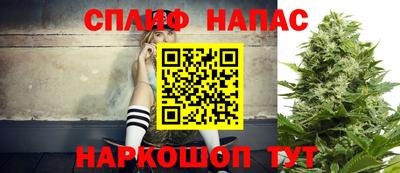 МДПВ Пушкино
